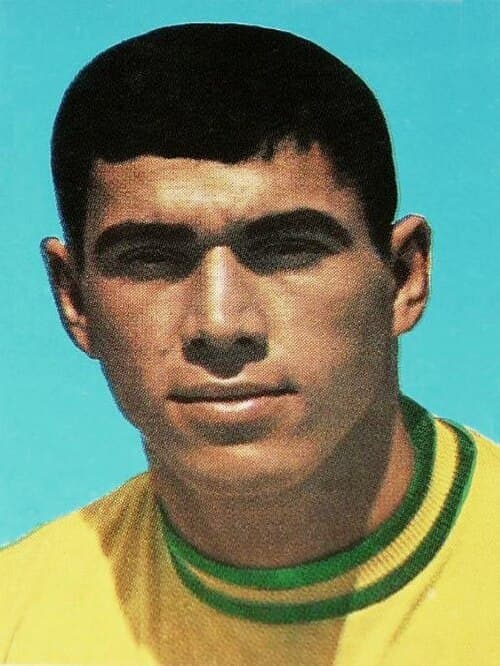 Clodoaldo